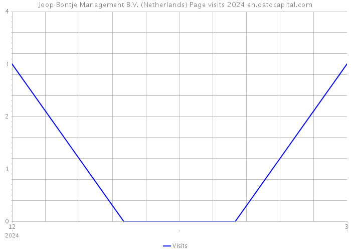 Joop Bontje Management B.V. (Netherlands) Page visits 2024 