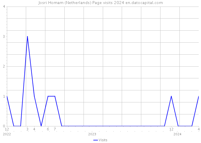 Josri Homam (Netherlands) Page visits 2024 