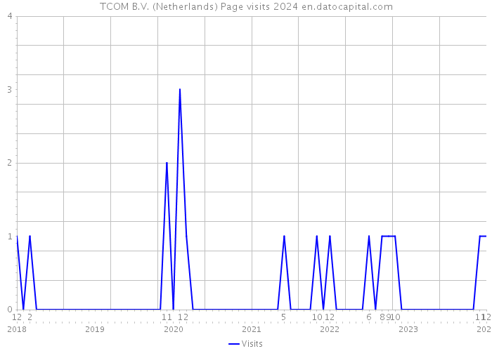 TCOM B.V. (Netherlands) Page visits 2024 