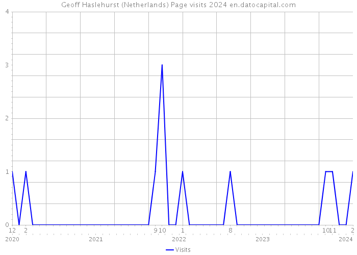 Geoff Haslehurst (Netherlands) Page visits 2024 