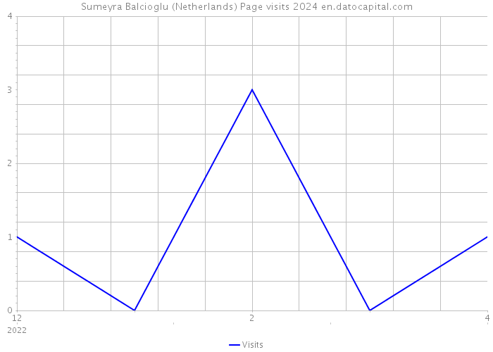 Sumeyra Balcioglu (Netherlands) Page visits 2024 