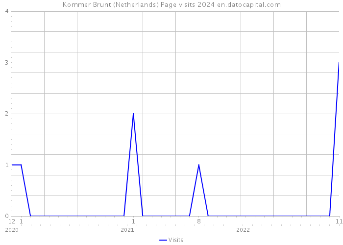 Kommer Brunt (Netherlands) Page visits 2024 