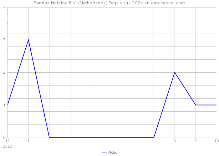 Ramina Holding B.V. (Netherlands) Page visits 2024 