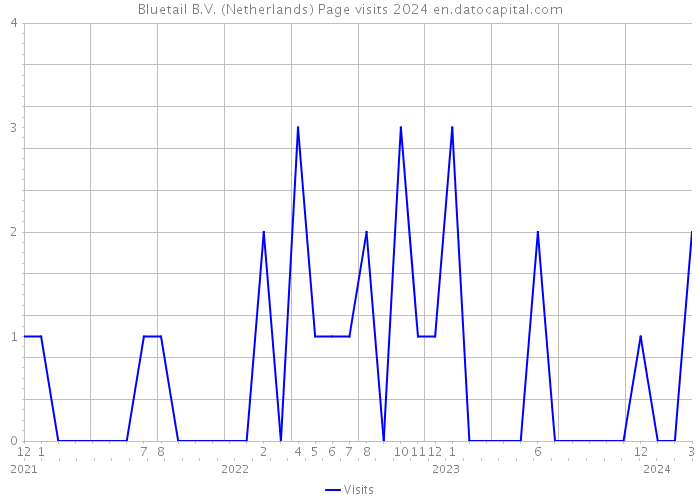 Bluetail B.V. (Netherlands) Page visits 2024 