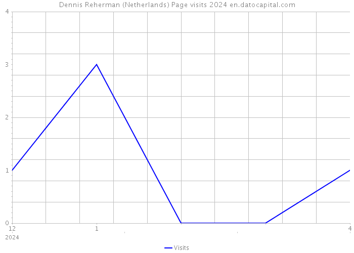 Dennis Reherman (Netherlands) Page visits 2024 
