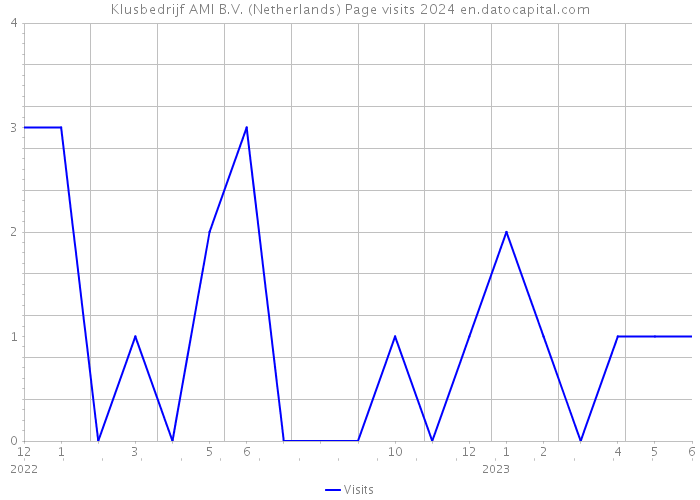 Klusbedrijf AMI B.V. (Netherlands) Page visits 2024 