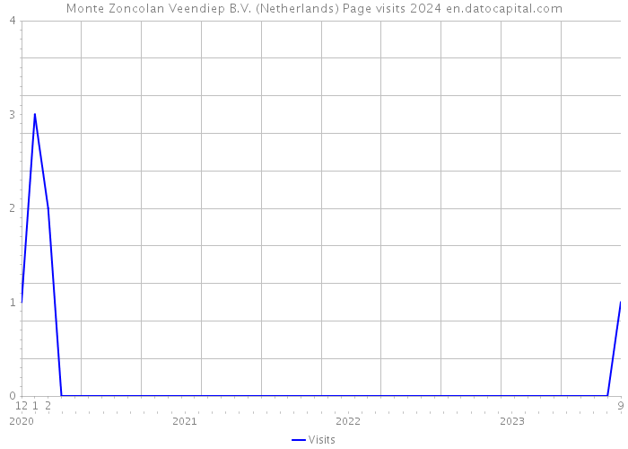 Monte Zoncolan Veendiep B.V. (Netherlands) Page visits 2024 