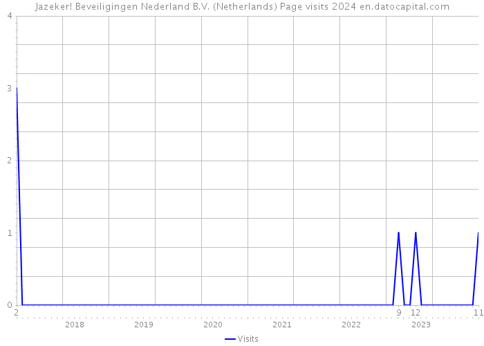 Jazeker! Beveiligingen Nederland B.V. (Netherlands) Page visits 2024 