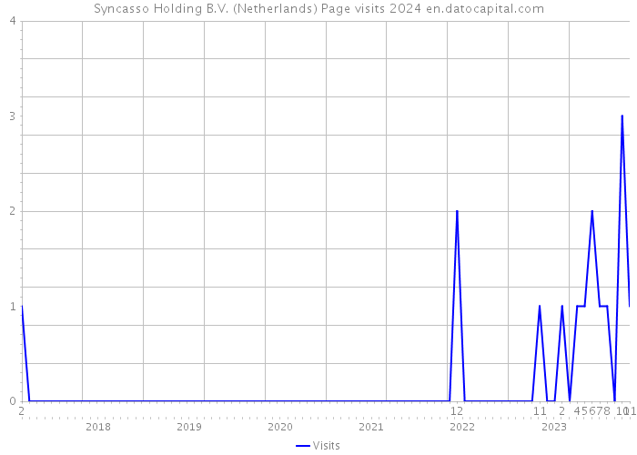 Syncasso Holding B.V. (Netherlands) Page visits 2024 