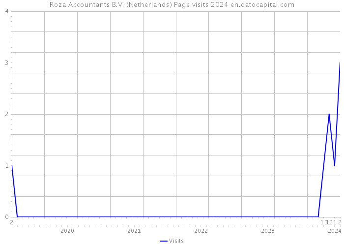 Roza Accountants B.V. (Netherlands) Page visits 2024 