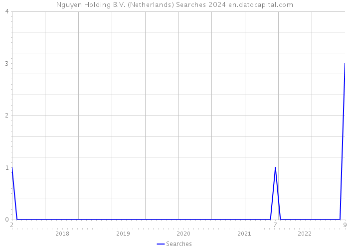 Nguyen Holding B.V. (Netherlands) Searches 2024 