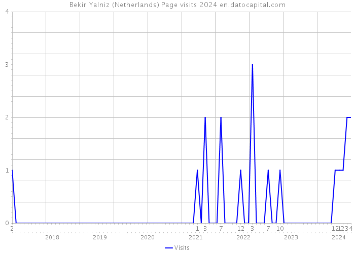 Bekir Yalniz (Netherlands) Page visits 2024 