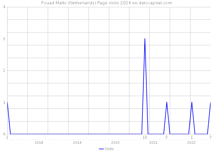 Fouad Malki (Netherlands) Page visits 2024 