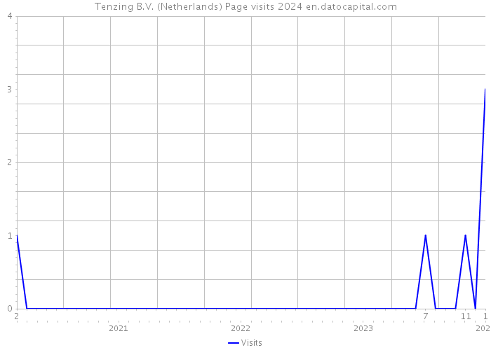 Tenzing B.V. (Netherlands) Page visits 2024 