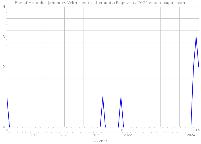 Roelof Arnoldus Johannes Veltmeijer (Netherlands) Page visits 2024 