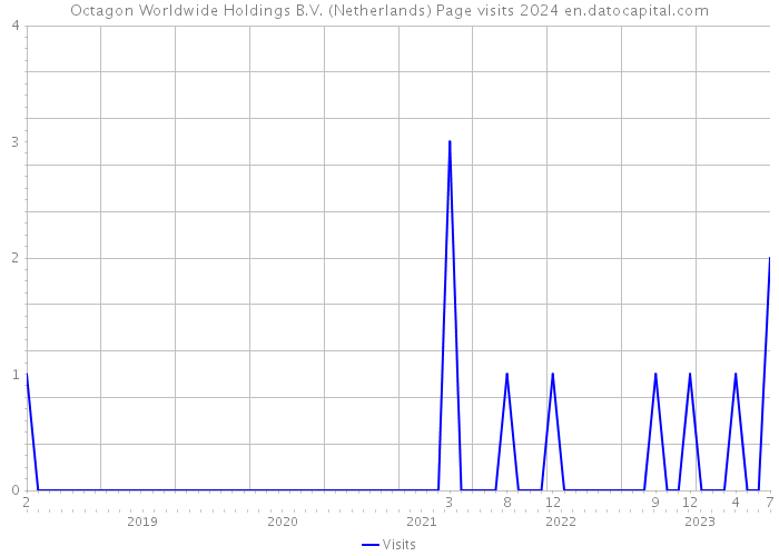 Octagon Worldwide Holdings B.V. (Netherlands) Page visits 2024 