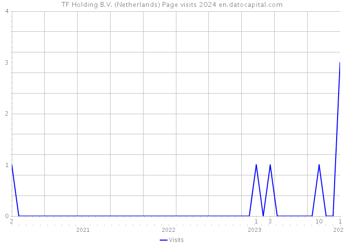 TF Holding B.V. (Netherlands) Page visits 2024 