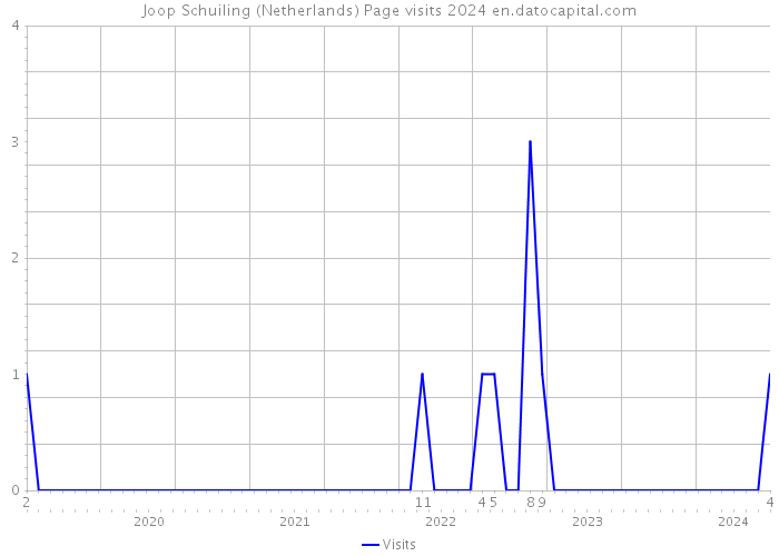 Joop Schuiling (Netherlands) Page visits 2024 