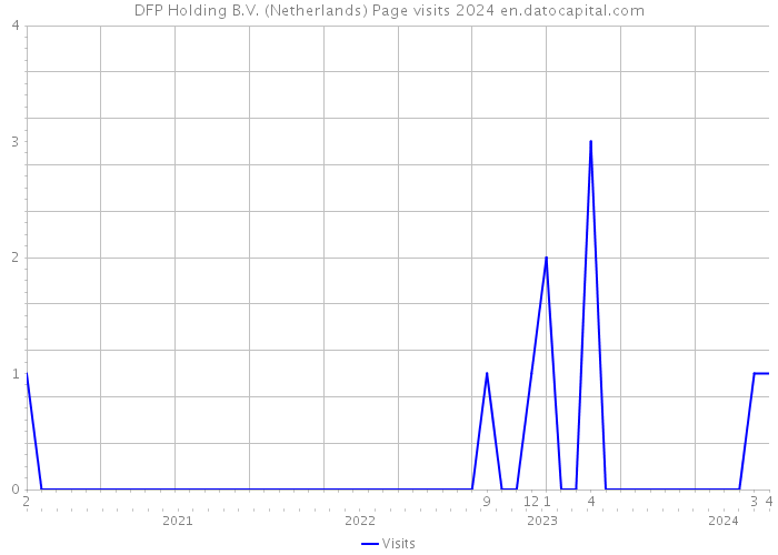 DFP Holding B.V. (Netherlands) Page visits 2024 