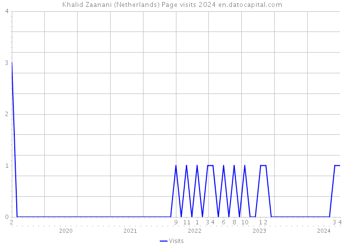 Khalid Zaanani (Netherlands) Page visits 2024 