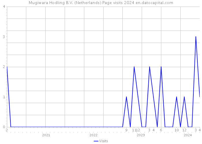 Mugiwara Hodling B.V. (Netherlands) Page visits 2024 
