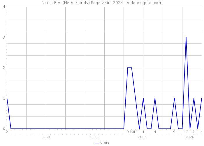 Netco B.V. (Netherlands) Page visits 2024 