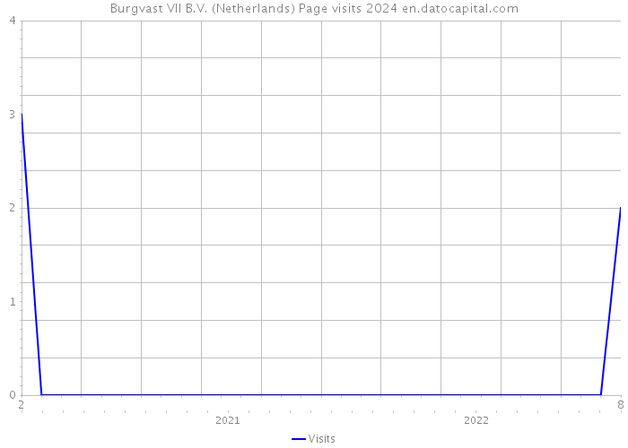 Burgvast VII B.V. (Netherlands) Page visits 2024 
