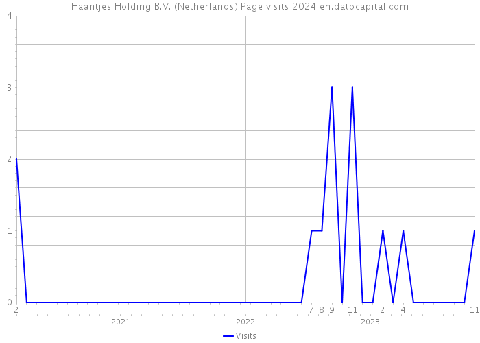 Haantjes Holding B.V. (Netherlands) Page visits 2024 