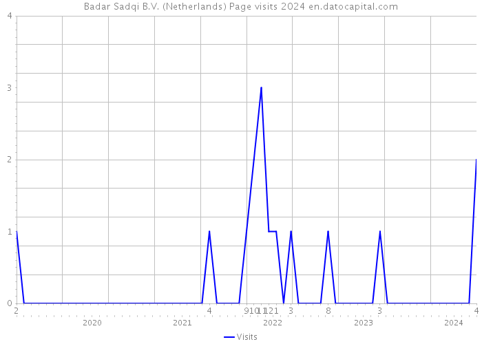 Badar Sadqi B.V. (Netherlands) Page visits 2024 