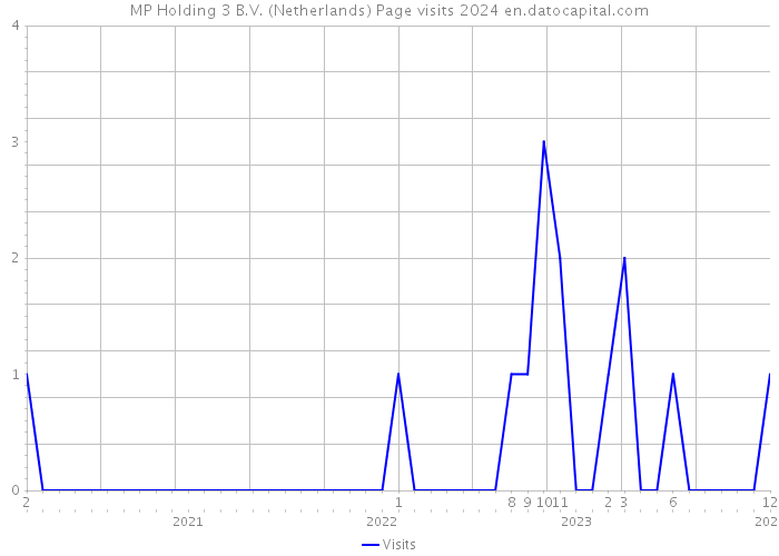 MP Holding 3 B.V. (Netherlands) Page visits 2024 