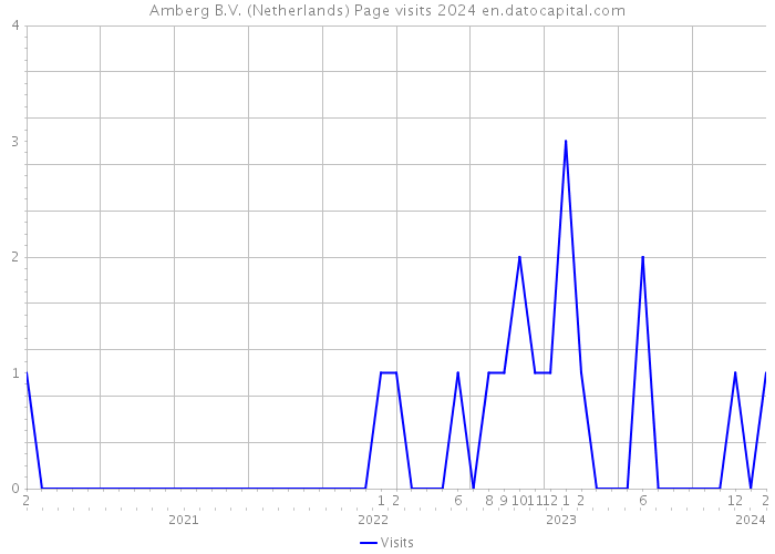 Amberg B.V. (Netherlands) Page visits 2024 