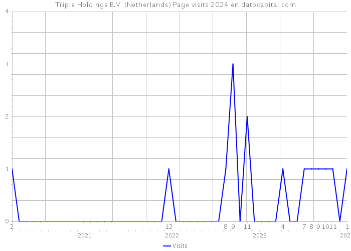 Triple Holdings B.V. (Netherlands) Page visits 2024 
