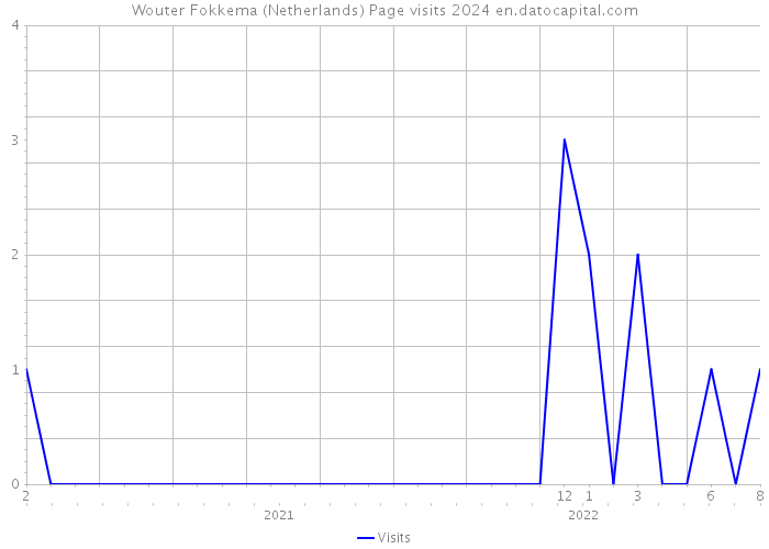 Wouter Fokkema (Netherlands) Page visits 2024 