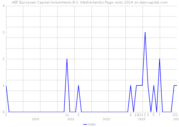 AEF European Capital Investments B.V. (Netherlands) Page visits 2024 