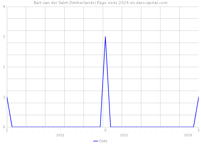 Bart van der Salm (Netherlands) Page visits 2024 