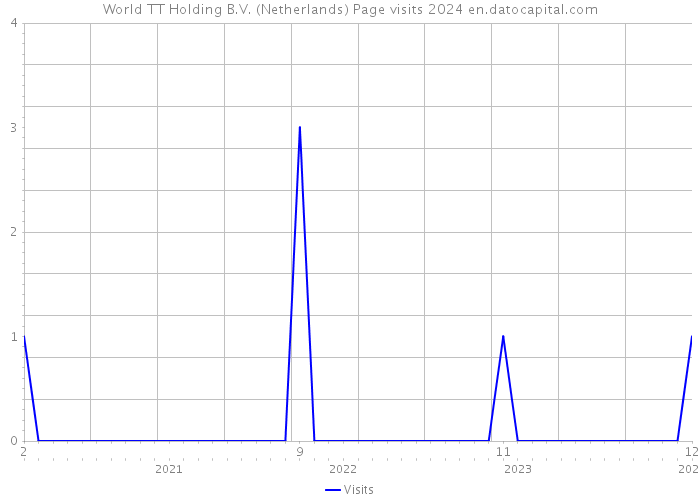 World TT Holding B.V. (Netherlands) Page visits 2024 