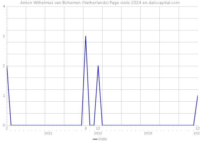 Anton Wilhelmus van Bohemen (Netherlands) Page visits 2024 