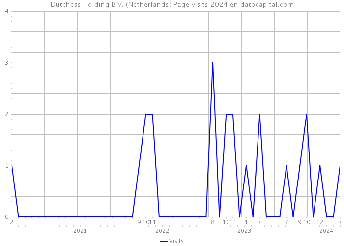 Dutchess Holding B.V. (Netherlands) Page visits 2024 