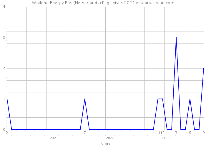 Wayland Energy B.V. (Netherlands) Page visits 2024 