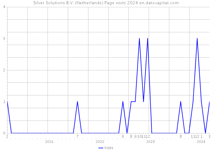 Silver Solutions B.V. (Netherlands) Page visits 2024 