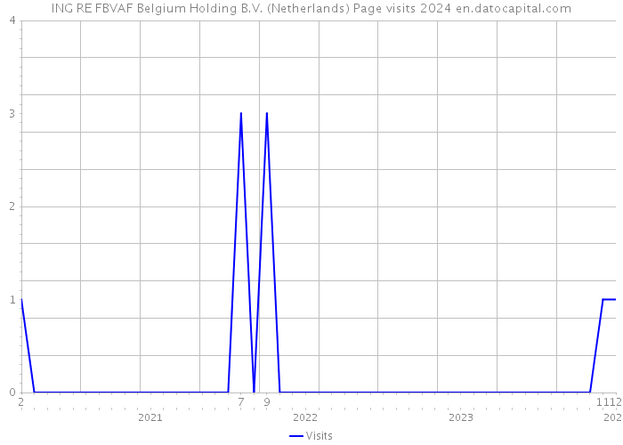 ING RE FBVAF Belgium Holding B.V. (Netherlands) Page visits 2024 