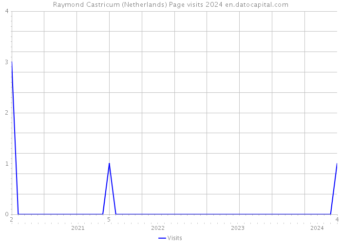 Raymond Castricum (Netherlands) Page visits 2024 