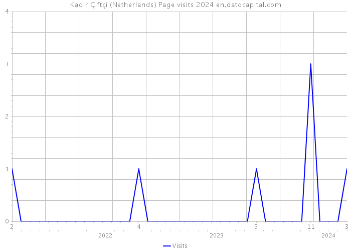 Kadir Çiftçi (Netherlands) Page visits 2024 