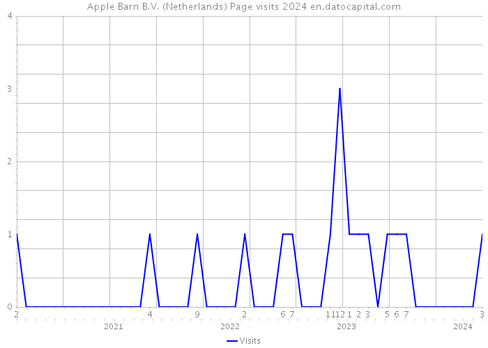 Apple Barn B.V. (Netherlands) Page visits 2024 