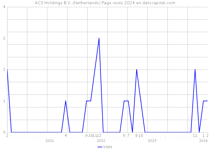 ACS Holdings B.V. (Netherlands) Page visits 2024 