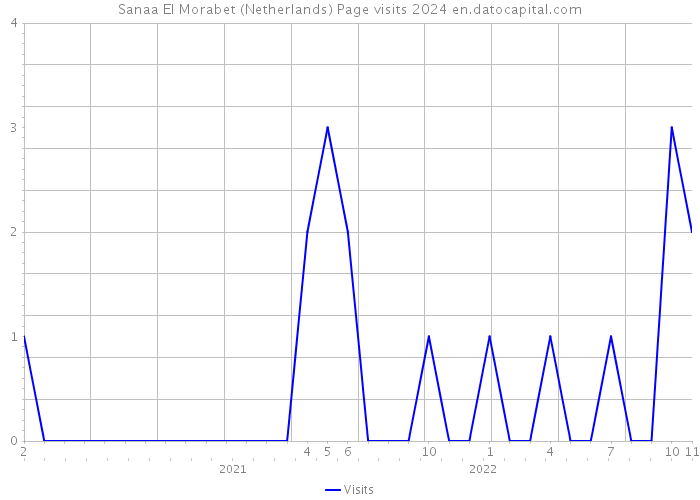 Sanaa El Morabet (Netherlands) Page visits 2024 