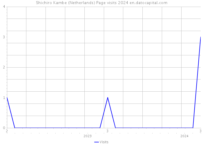 Shichiro Kambe (Netherlands) Page visits 2024 