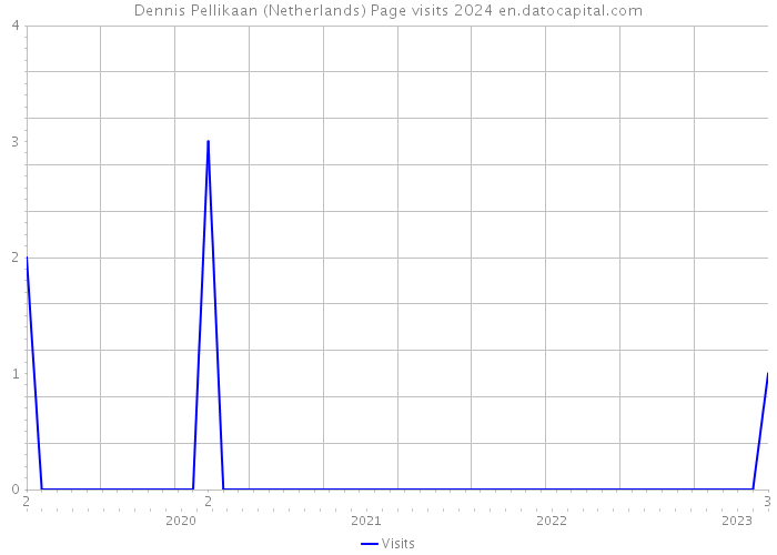 Dennis Pellikaan (Netherlands) Page visits 2024 