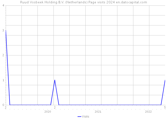 Ruud Vosbeek Holding B.V. (Netherlands) Page visits 2024 