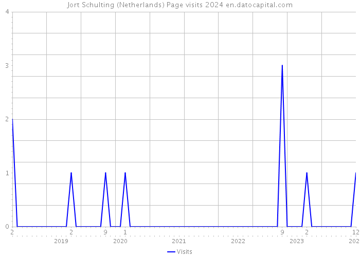 Jort Schulting (Netherlands) Page visits 2024 